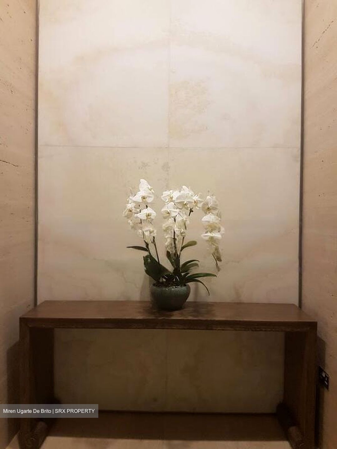 Hana (D10), Condominium #482796691